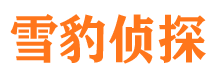 鸡冠市侦探公司